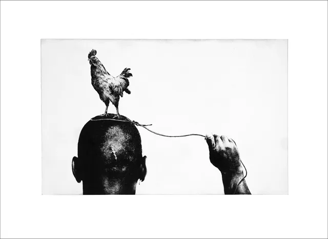Grabado de Tente: gallo sobre una cabeza rapada